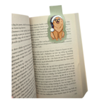 Bokmerkebundle - små magnetiske bokmerker