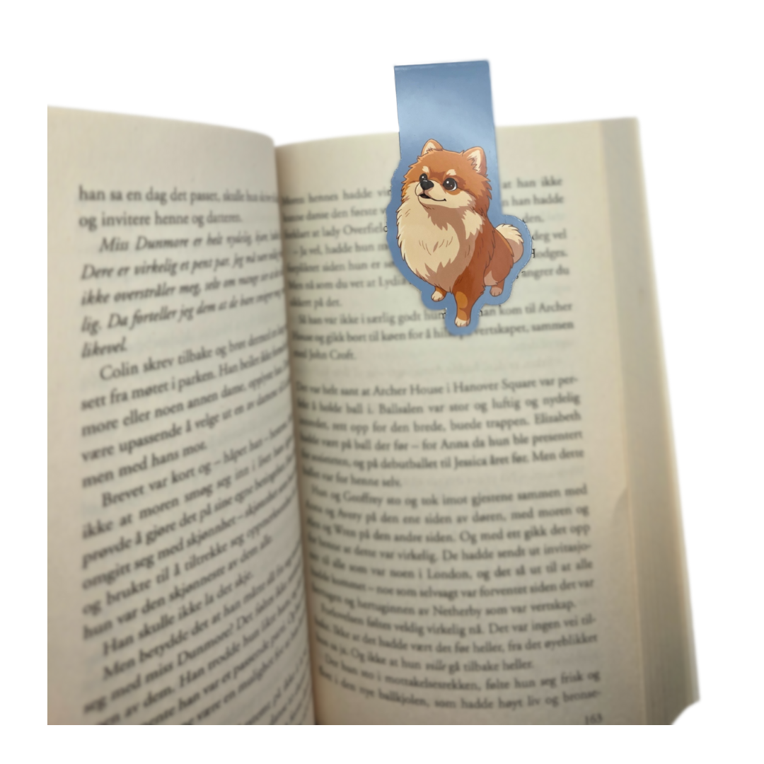 Bokmerkebundle - små magnetiske bokmerker